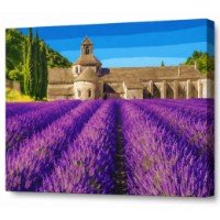 Tablou pe numere Art Gallery Econom Lavandă în Provence 40x50cm (GX30044)