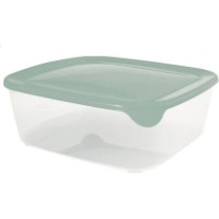Container alimentar Curver Fresh&Go 2.9L (273070)