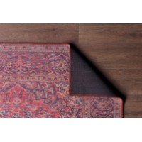 Covor Conceptum Hypnose Blues Chenille Red AL 53 0.75x1.50m imaginea #4 — magazin online Desire.md