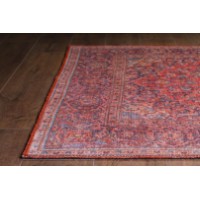 Covor Conceptum Hypnose Blues Chenille Red AL 53 0.75x1.50m imaginea #6 — magazin online Desire.md