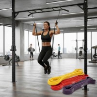 Эспандер FunFit Exercise Band Set (4825) фото №2 — интернет-магазин Desire.md