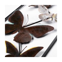 Panou decorativ Wallity Tavus 2 imaginea #5 — magazin online Desire.md