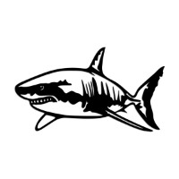 Panou decorativ Wallity Shark L imaginea #5 — magazin online Desire.md