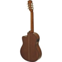 Chitara clasica Aria A-10CE MTN imaginea #2 — magazin online Desire.md