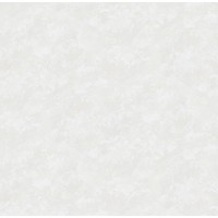 Обои Victoria Stenova 285621 Fresco (22001)