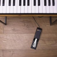 Pedala pentru tastatură M-Audio SP-2 Universal imaginea #2 — magazin online Desire.md