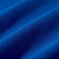Женские спортивные штаны Nike Studio Fleece Heavyweight Old Royal/Sail, s.L фото №8 — интернет-магазин Desire.md