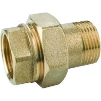 Fiting TDS 1/2Mx3/4F (25962)