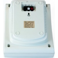 Громкоговоритель Master Audio WS108T фото №2 — интернет-магазин Desire.md