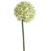 Floare decorativă Casa Masa Allium 60 cm White (L20501/WH)
