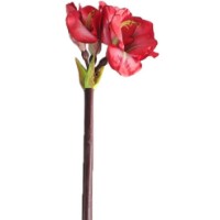 Floare decorativă Casa Masa Amaryllis 83cm Red (L20431/RD)
