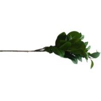 Floare decorativă Casa Masa Dafin 66cm (HG976)