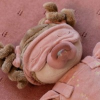 Păpușa Little Dutch Sleeping Rosa (LD4679) imaginea #8 — magazin online Desire.md