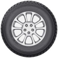 Шина Fortune FSR-302 205/80 R16 110/108S 8PR фото №3 — интернет-магазин Desire.md