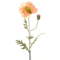Floare decorativă Casa Masa Mac 72 cm (L20444/LPK)