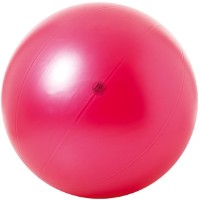 Mingea fitness Togu Theragym Ball ABS 100cm Rubyred (401000)