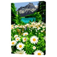 Tablou pe numere Art Gallery Premium Daisies 20x30cm (CX4453)
