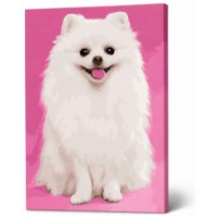 Tablou pe numere Art Gallery Premium Spitz alb 40x50cm (GX39293)