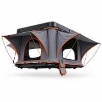 Cort Travel Flame WP6001 Stone Gray
