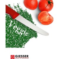 Cuțit Giesser 8365 wsp 11 r imaginea #3 — magazin online Desire.md