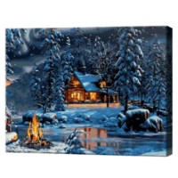Tablou pe numere Art Gallery Premium Coliba în pădure iarna 30x40cm (EX8247)