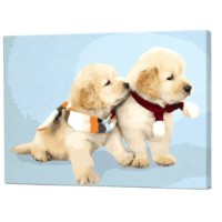 Tablou pe numere Art Gallery Premium Pui de Labrador 40x50cm (GX38498)