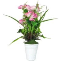 Декоративный цветок Casa Masa Maci in ghiveci 36 cm Pink (DK24172DK.PK/LT.PK)