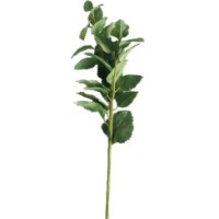 Floare decorativă Casa Masa Melissa 58 cm (L23525/GR)