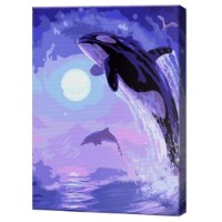 Tablou pe numere Art Gallery Premium Orca la miez de noapte 30x40cm (EX8281)