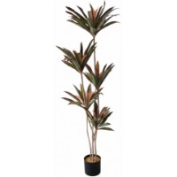 Floare decorativă Deco Dracaena Red 220cm