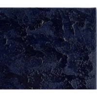 Pictură Dogtas Ultramarine 3200392754 imaginea #3 — magazin online Desire.md