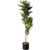 Декоративный цветок Deco Ficus lyrata 200