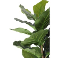 Декоративный цветок Deco Ficus lyrata 200 фото №2 — интернет-магазин Desire.md