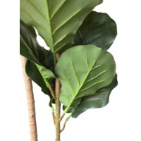 Декоративный цветок Deco Ficus lyrata 200 фото №3 — интернет-магазин Desire.md