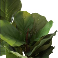 Декоративный цветок Deco Ficus lyrata 200 фото №4 — интернет-магазин Desire.md