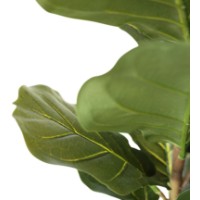 Декоративный цветок Deco Ficus lyrata 200 фото №5 — интернет-магазин Desire.md