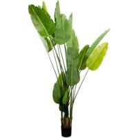 Декоративный цветок Deco Strelitzia 250cm