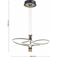 Потолочный светильник Flitz Leuchten Lira BK FL6021-P фото №3 — интернет-магазин Desire.md