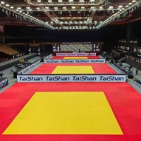 Mat sportiv Insportline Taishan Yellow (27658) imaginea #4 — magazin online Desire.md