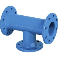 Fiting Winter Com PN16 DN80 (23746)