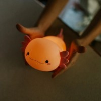 Ночной светильник Mary's Axolotl Pink (MR.229017) фото №4 — интернет-магазин Desire.md
