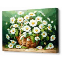 Картина по номерам Art Gallery Econom Корзина ромашек 40x50cm (GX46431)