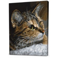 Tablou pe numere Art Gallery Econom Pisica dungată 40x50cm (GX44337)