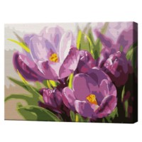 Картина по номерам Art Gallery Econom Распустившиеся крокусы 30x40cm (EX6715)