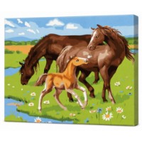 Tablou pe numere Art Gallery Econom Familie de cai 30x40cm (EX7537)