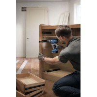 Mașină de înșurubat Bosch GSB 18V-25 (B06019K9302) imaginea #3 — magazin online Desire.md