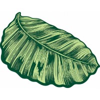 Covoraș de baie Trendy Sheet (GTR008871)