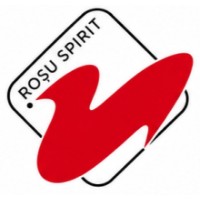 Smalț Brillant AquaLuxLucios 2.5L Roșu Spirit imaginea #2 — magazin online Desire.md