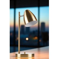 Veioză birou Opviq 8890-2 imaginea #1 — magazin online Desire.md