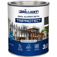 Smalț Brillant TriProtect 3in1 Negru 0.75L (0101100) imaginea #1 — magazin online Desire.md